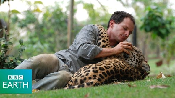 Jaguáři zrozeni pro svobodu