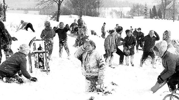 Lišáci, Myšáci a Šibeničák