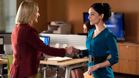 Dobrá manželka IV (16)