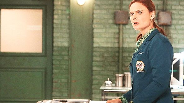 Sběratelé kostí IX (4)