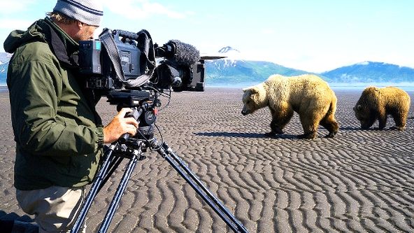 Zázračná planeta: Medvědi grizzly na Aljašce (2/2)