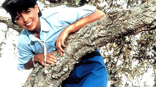 Žandár a žandárky