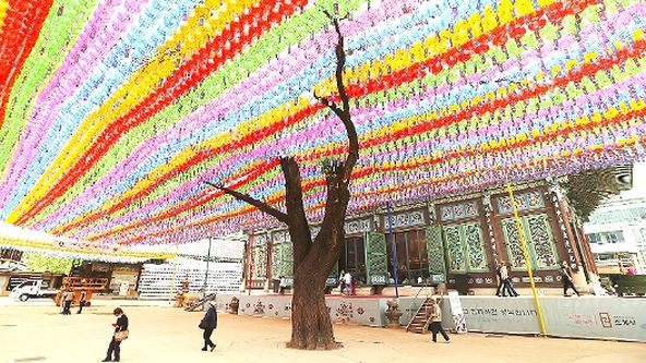 Kamera na cestách: Jižní Korea, asijský tygr