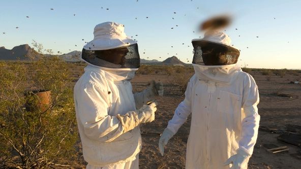 Dokonalé zvířecí smysly (3/3)