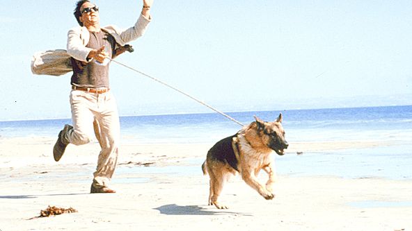 K-9, můj přítel se studeným čumákem