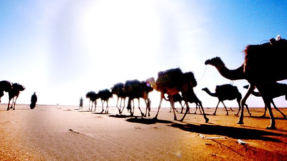 Tuaregové, hrdí vládci pouště