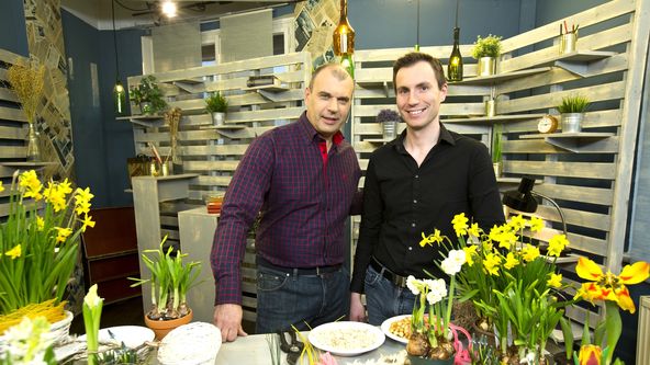 Rady ptáka Loskutáka