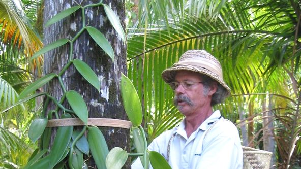 Ostrovy snů: Réunion