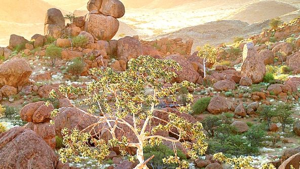 Kamera na cestách: Namibie, přírodní bohatství Afriky