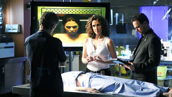 Kriminálka New York VI (18)