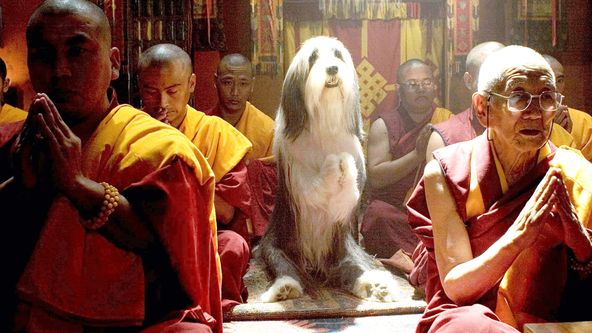 Jak jsem se stal psem