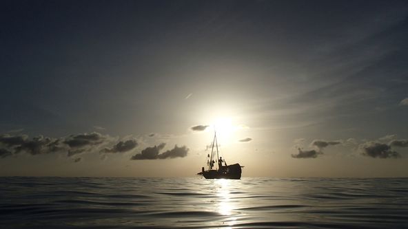 Mořský nomád aneb Expedice Zlato Bengálského zálivu