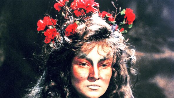 O vílách Rojenicích