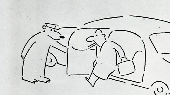 Zpráva o medvědech