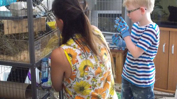 Můj mazlíček a já II