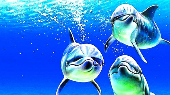 Zázraky planety Země (8)