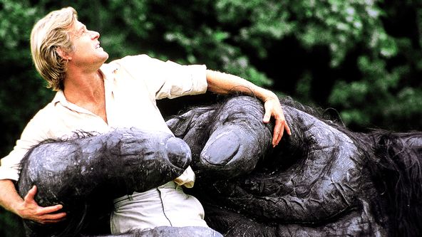 King Kong žije