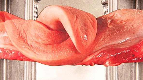 Přežít svůj život