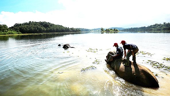Laos na vlnách Mekongu