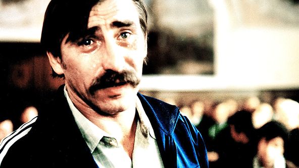 Dobří holubi se vracejí