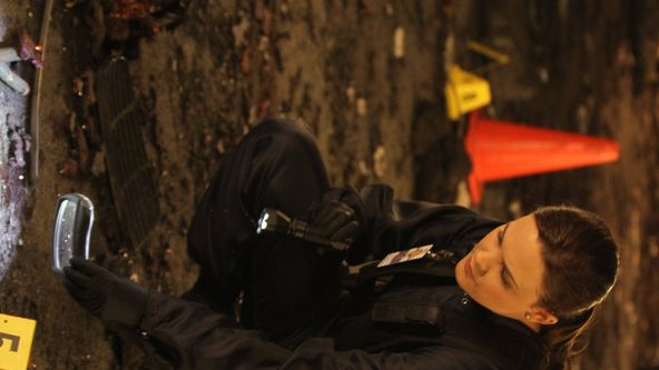 Sběratelé kostí VIII (3)