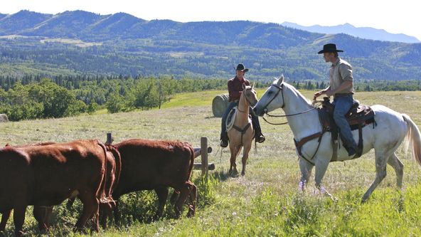 Ranč Heartland IV (10)