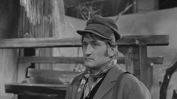 Nejsem chmýrko na bodláku