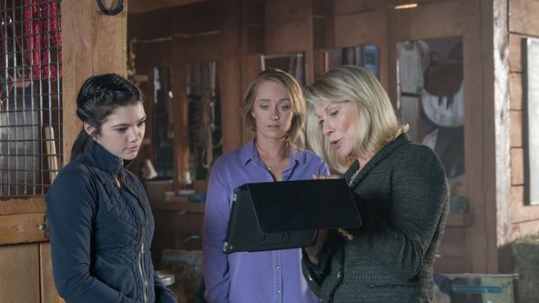 Ranč Heartland XI (3)