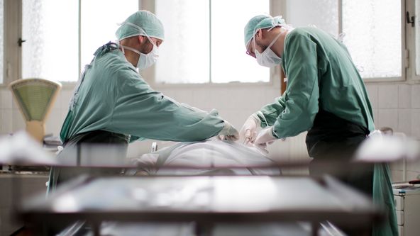 Příběhy českých zločinů