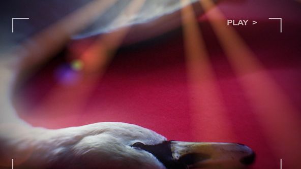 Akta Čajkovskij – Zpověď skladatele