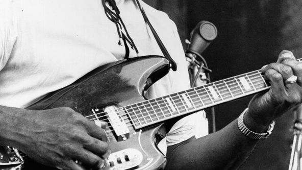 Muddy Waters: Live in Chicago