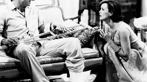 Kočka na rozpálené plechové střeše