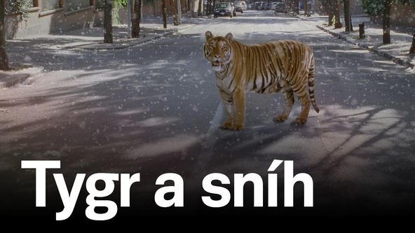 Tygr a sníh