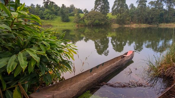 Národní parky Ugandy