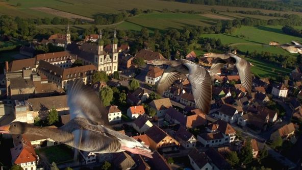 Divoká Francie (1/4)