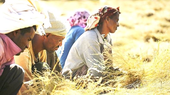 Kamera na cestách: Etiopie, země kontrastů