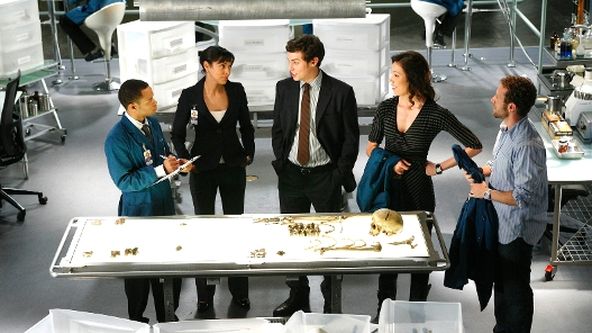 Sběratelé kostí IV (2)