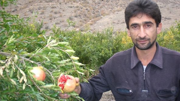 Rajské ovoce z Arménie