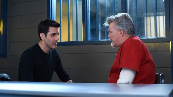 Policejní bažanti V (6)