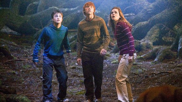 Harry Potter a Fénixův řád