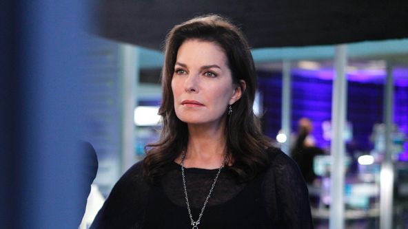 Kriminálka New York IX (11)