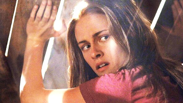 Prokletí domu slunečnic