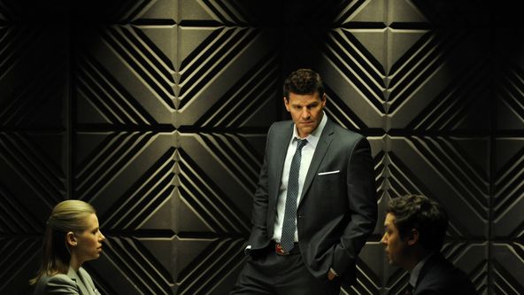 Sběratelé kostí IX (8)