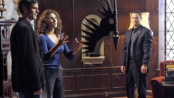 Kriminálka New York VI (10)