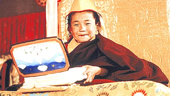 Sedm let v Tibetu