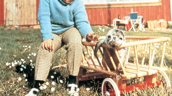 Svědectví barevného ostrova (1/4)