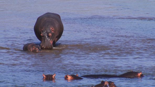 Kamera na cestách: Jihoafrická republika, duhová země