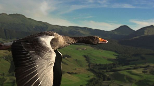 Divoká Francie (1/4)