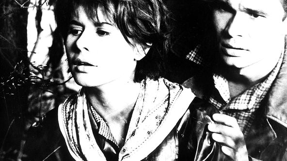 Cesta hlubokým lesem