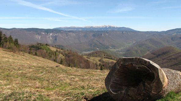 Návraty k divočině